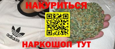 PSILOCYBIN Гусиноозёрск