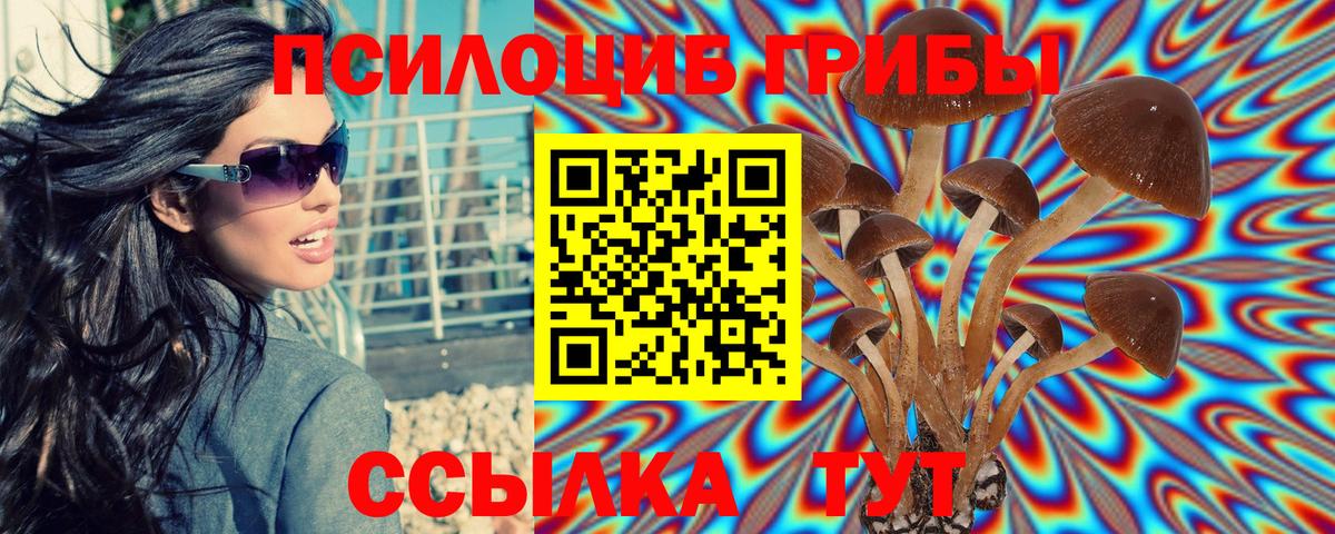 Псилоцибиновые грибы мицелий  Вход с VPN  Мценск 