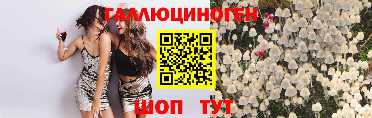 Галлюциногенные грибы Magic Shrooms Мценск